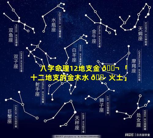 八字命理12地支金 🐬 「十二地支的金木水 🕷 火土」